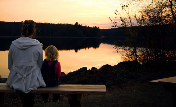 Family Law - Divorce Law The Danger With Online Do It Yourself Divorce Forms